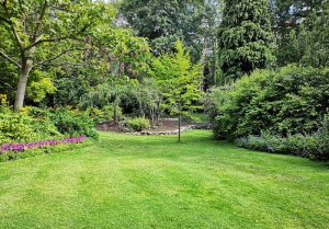 Optimiser l'expérience du jardin à Courcelles-le-Comte